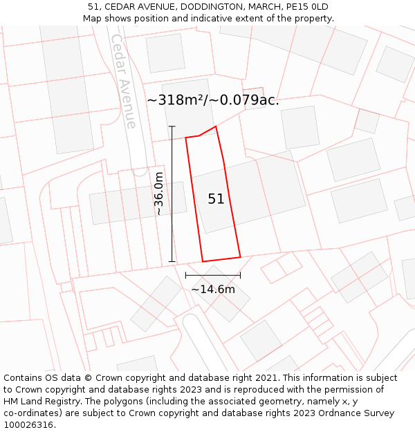 51, CEDAR AVENUE, DODDINGTON, MARCH, PE15 0LD: Plot and title map