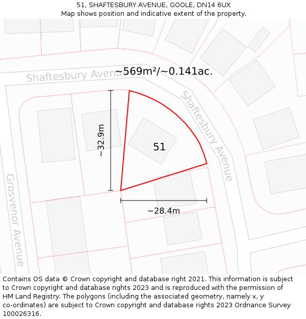 51, SHAFTESBURY AVENUE, GOOLE, DN14 6UX: Plot and title map