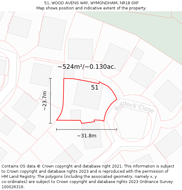 51, WOOD AVENS WAY, WYMONDHAM, NR18 0XP: Plot and title map