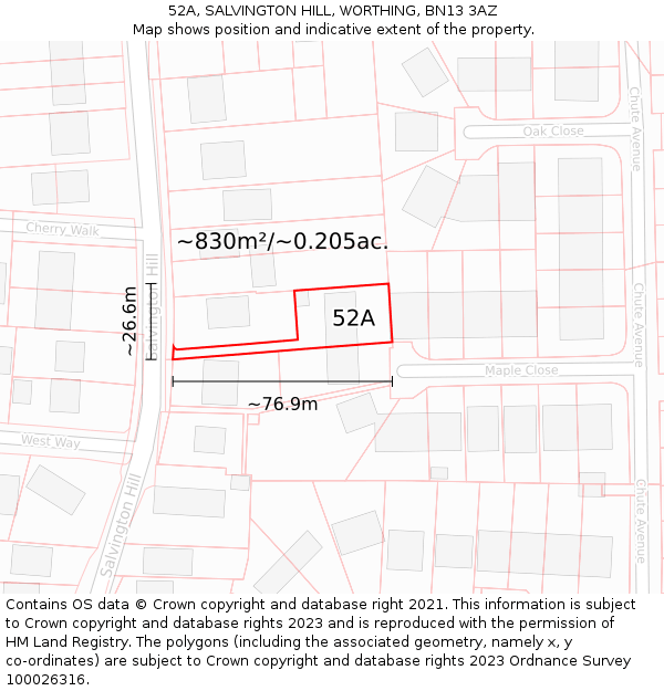 52A, SALVINGTON HILL, WORTHING, BN13 3AZ: Plot and title map
