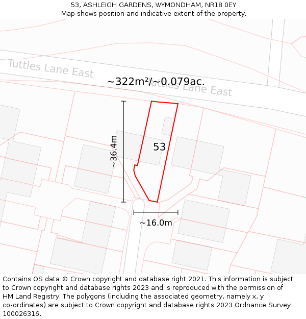 53, ASHLEIGH GARDENS, WYMONDHAM, NR18 0EY: Plot and title map