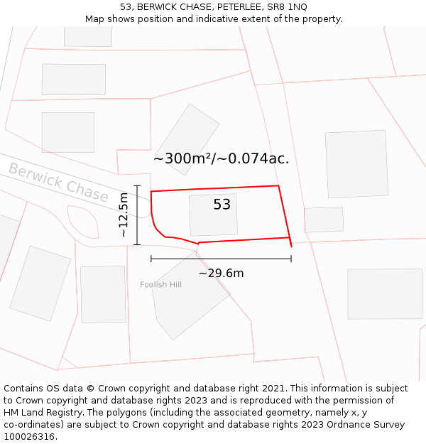 53, BERWICK CHASE, PETERLEE, SR8 1NQ: Plot and title map