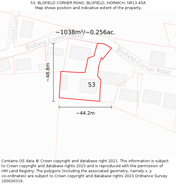 53, BLOFIELD CORNER ROAD, BLOFIELD, NORWICH, NR13 4SA: Plot and title map