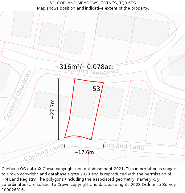 53, COPLAND MEADOWS, TOTNES, TQ9 6ES: Plot and title map