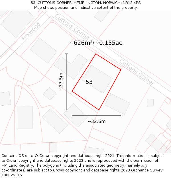 53, CUTTONS CORNER, HEMBLINGTON, NORWICH, NR13 4PS: Plot and title map