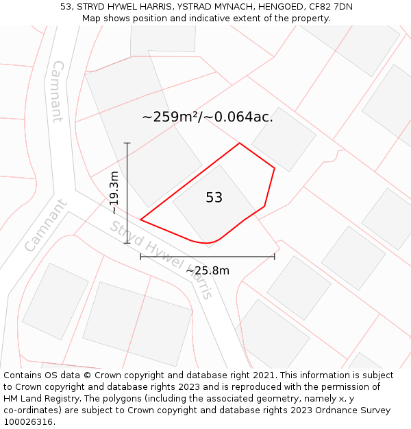 53, STRYD HYWEL HARRIS, YSTRAD MYNACH, HENGOED, CF82 7DN: Plot and title map