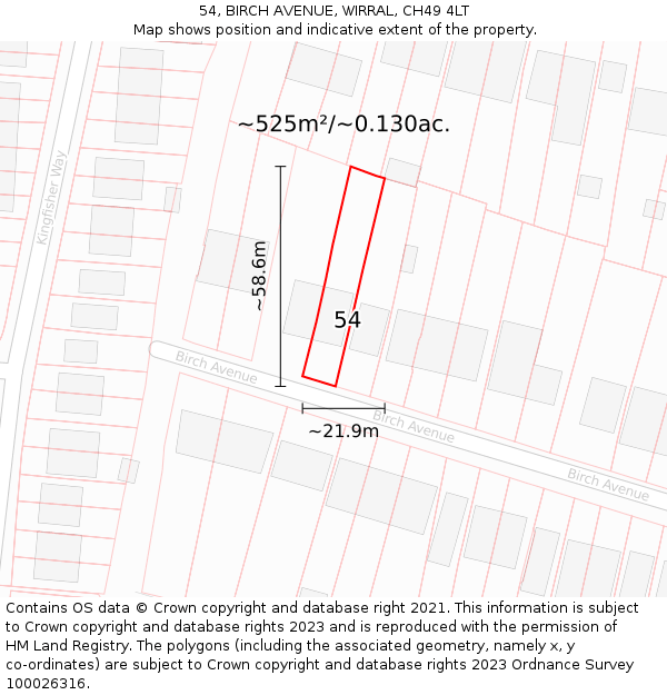 54, BIRCH AVENUE, WIRRAL, CH49 4LT: Plot and title map