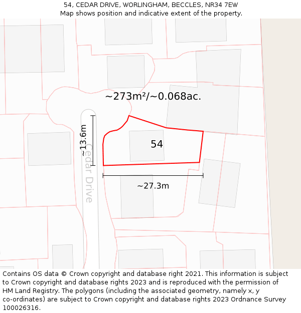54, CEDAR DRIVE, WORLINGHAM, BECCLES, NR34 7EW: Plot and title map
