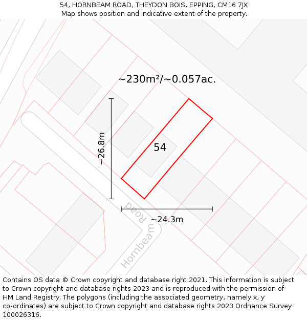 54, HORNBEAM ROAD, THEYDON BOIS, EPPING, CM16 7JX: Plot and title map