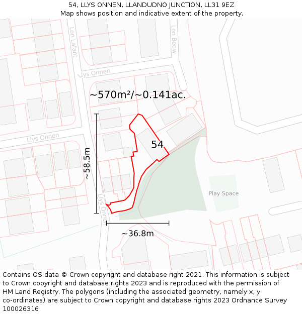54, LLYS ONNEN, LLANDUDNO JUNCTION, LL31 9EZ: Plot and title map