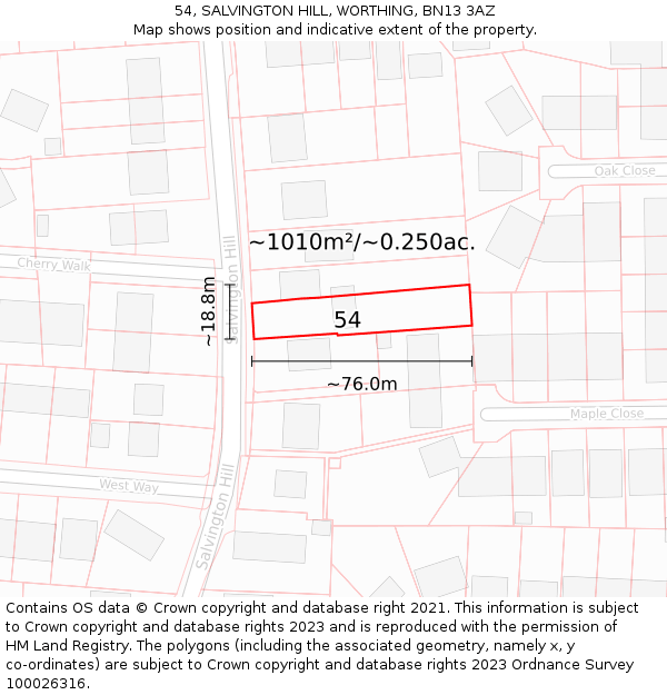 54, SALVINGTON HILL, WORTHING, BN13 3AZ: Plot and title map
