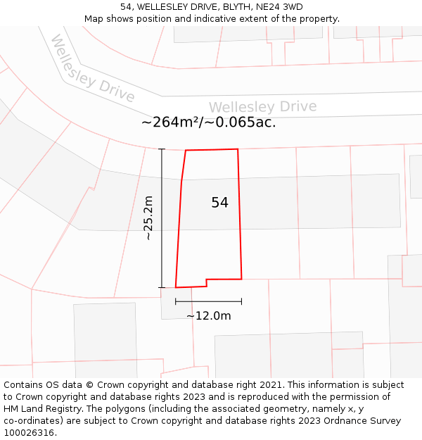 54, WELLESLEY DRIVE, BLYTH, NE24 3WD: Plot and title map