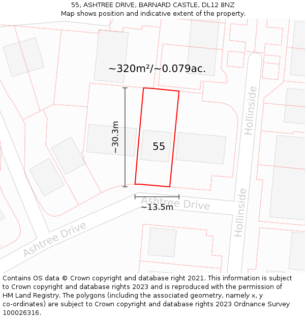 55, ASHTREE DRIVE, BARNARD CASTLE, DL12 8NZ: Plot and title map