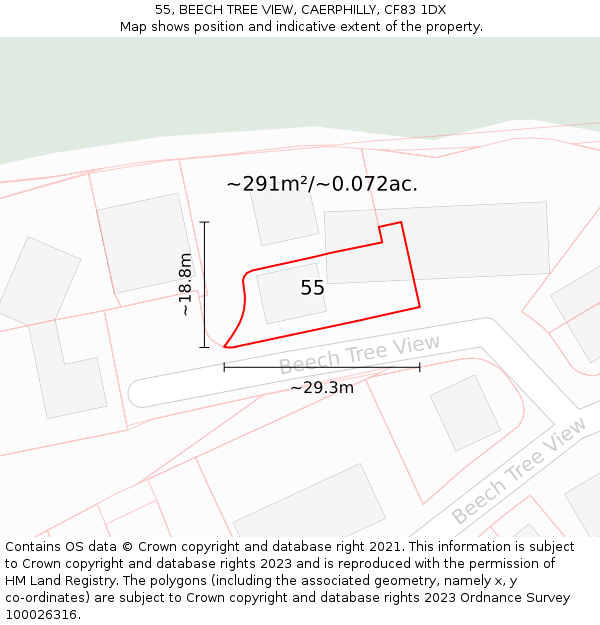 55, BEECH TREE VIEW, CAERPHILLY, CF83 1DX: Plot and title map