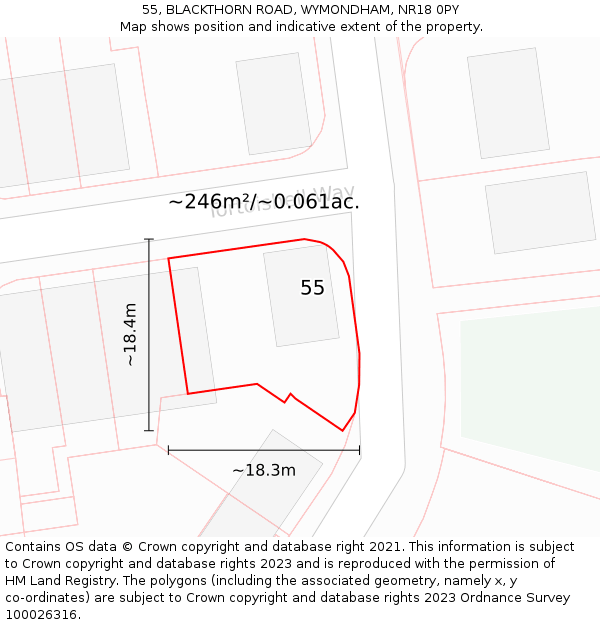 55, BLACKTHORN ROAD, WYMONDHAM, NR18 0PY: Plot and title map
