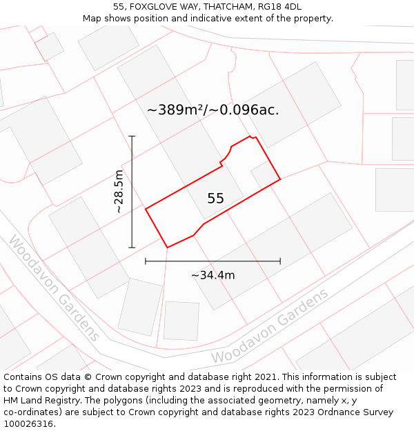 55, FOXGLOVE WAY, THATCHAM, RG18 4DL: Plot and title map