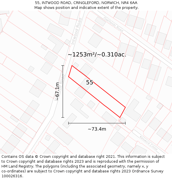 55, INTWOOD ROAD, CRINGLEFORD, NORWICH, NR4 6AA: Plot and title map