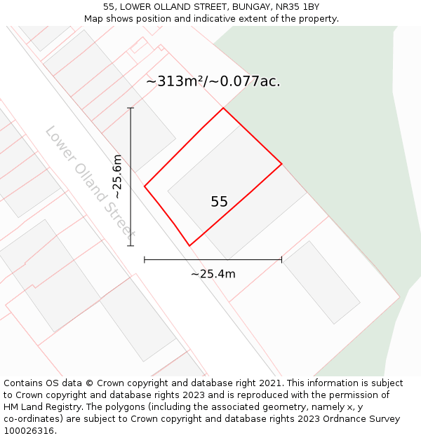 55, LOWER OLLAND STREET, BUNGAY, NR35 1BY: Plot and title map