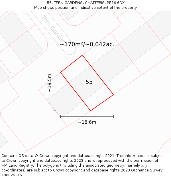 55, TERN GARDENS, CHATTERIS, PE16 6DX: Plot and title map
