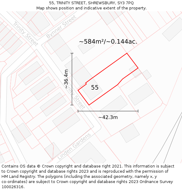 55, TRINITY STREET, SHREWSBURY, SY3 7PQ: Plot and title map