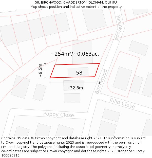 58, BIRCHWOOD, CHADDERTON, OLDHAM, OL9 9UJ: Plot and title map