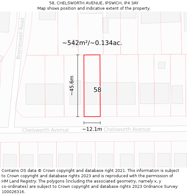 58, CHELSWORTH AVENUE, IPSWICH, IP4 3AY: Plot and title map