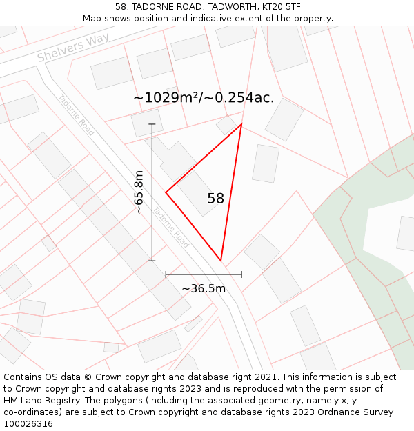 58, TADORNE ROAD, TADWORTH, KT20 5TF: Plot and title map