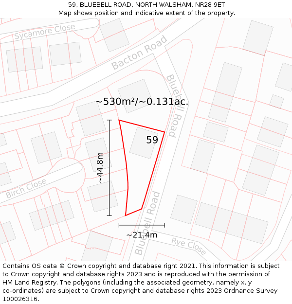 59, BLUEBELL ROAD, NORTH WALSHAM, NR28 9ET: Plot and title map