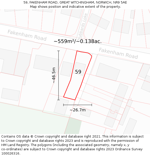 59, FAKENHAM ROAD, GREAT WITCHINGHAM, NORWICH, NR9 5AE: Plot and title map