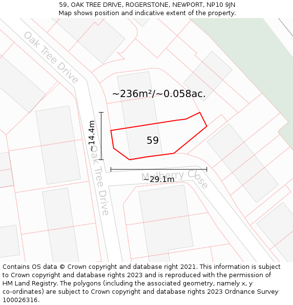 59, OAK TREE DRIVE, ROGERSTONE, NEWPORT, NP10 9JN: Plot and title map