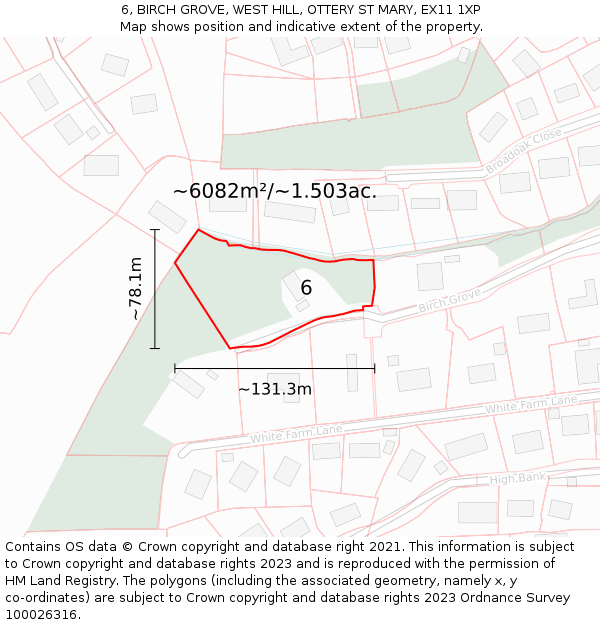 6, BIRCH GROVE, WEST HILL, OTTERY ST MARY, EX11 1XP: Plot and title map