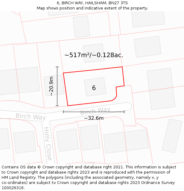 6, BIRCH WAY, HAILSHAM, BN27 3TS: Plot and title map