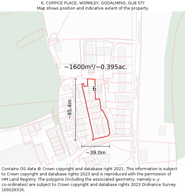 6, COPPICE PLACE, WORMLEY, GODALMING, GU8 5TY: Plot and title map