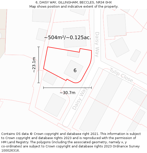 6, DAISY WAY, GILLINGHAM, BECCLES, NR34 0HX: Plot and title map