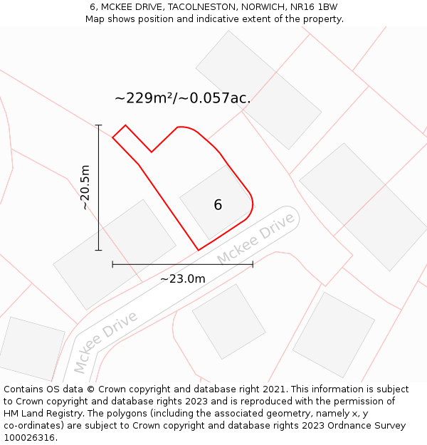 6, MCKEE DRIVE, TACOLNESTON, NORWICH, NR16 1BW: Plot and title map