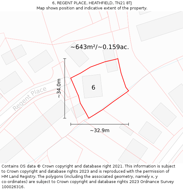6, REGENT PLACE, HEATHFIELD, TN21 8TJ: Plot and title map