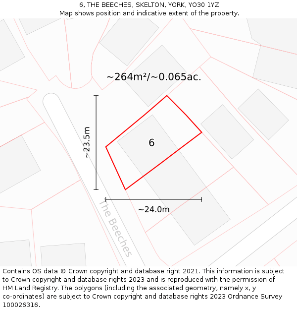 6, THE BEECHES, SKELTON, YORK, YO30 1YZ: Plot and title map