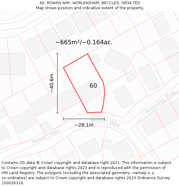 60, ROWAN WAY, WORLINGHAM, BECCLES, NR34 7ES: Plot and title map