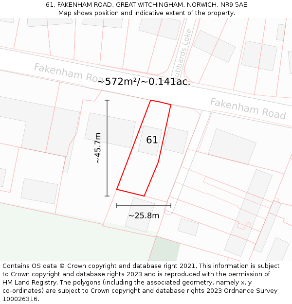 61, FAKENHAM ROAD, GREAT WITCHINGHAM, NORWICH, NR9 5AE: Plot and title map