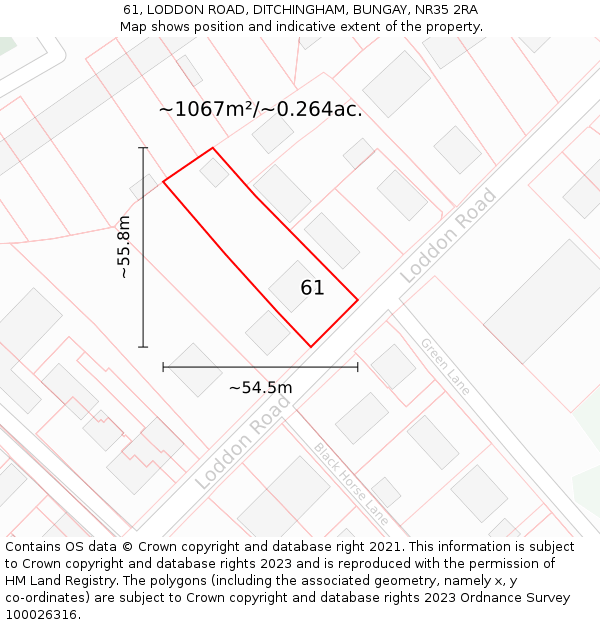 61, LODDON ROAD, DITCHINGHAM, BUNGAY, NR35 2RA: Plot and title map