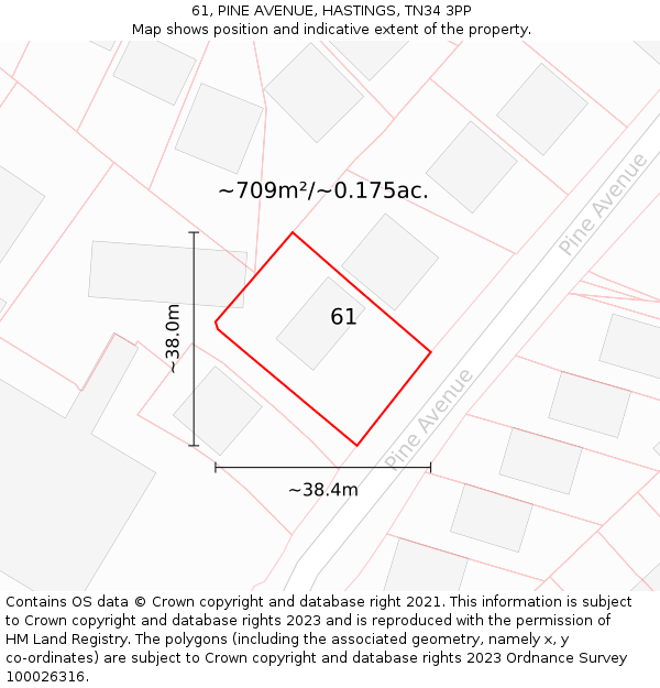 61, PINE AVENUE, HASTINGS, TN34 3PP: Plot and title map