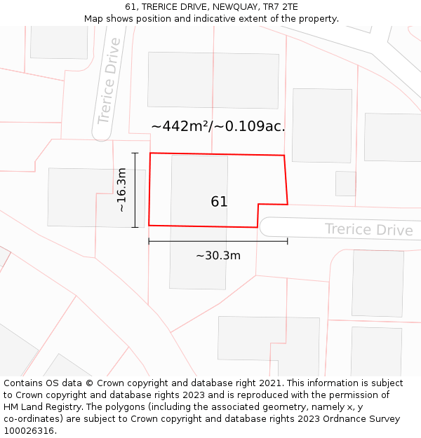 61, TRERICE DRIVE, NEWQUAY, TR7 2TE: Plot and title map