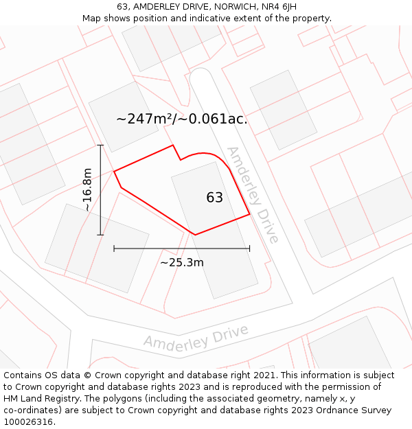 63, AMDERLEY DRIVE, NORWICH, NR4 6JH: Plot and title map