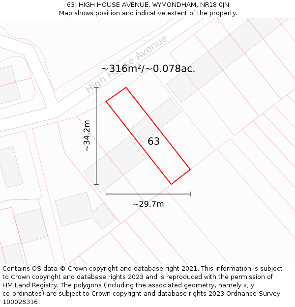 63, HIGH HOUSE AVENUE, WYMONDHAM, NR18 0JN: Plot and title map