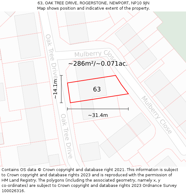 63, OAK TREE DRIVE, ROGERSTONE, NEWPORT, NP10 9JN: Plot and title map