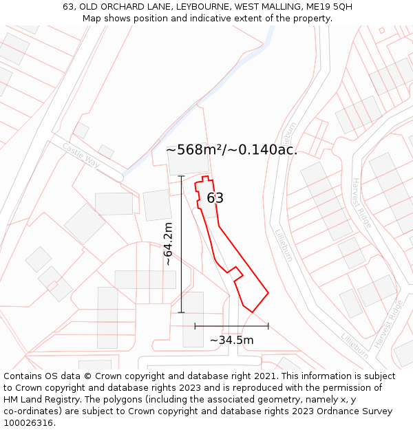 63, OLD ORCHARD LANE, LEYBOURNE, WEST MALLING, ME19 5QH: Plot and title map
