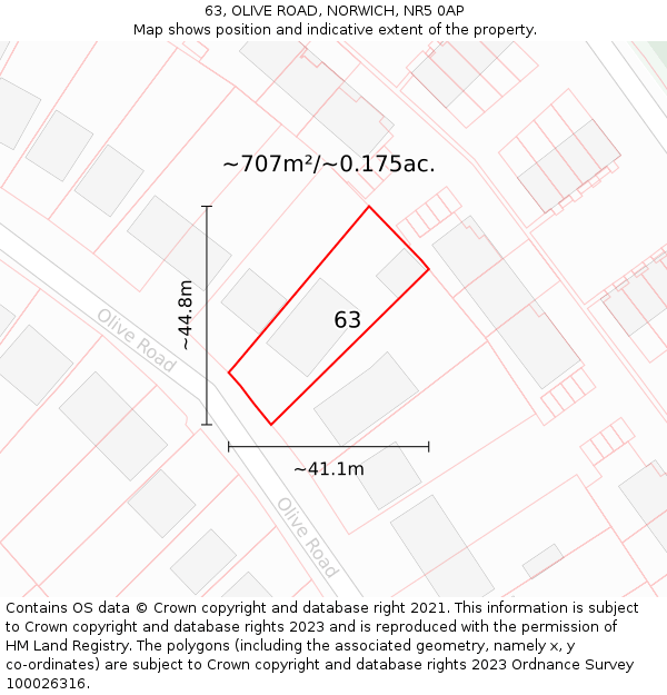 63, OLIVE ROAD, NORWICH, NR5 0AP: Plot and title map