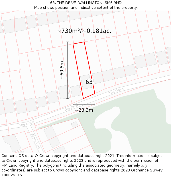 63, THE DRIVE, WALLINGTON, SM6 9ND: Plot and title map