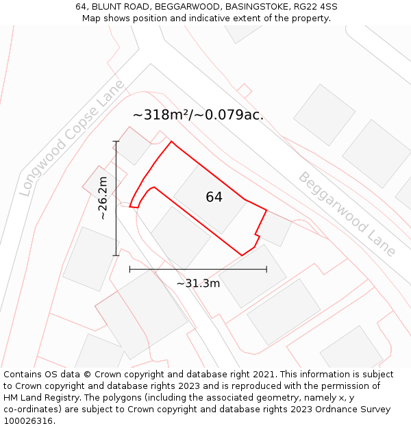 64, BLUNT ROAD, BEGGARWOOD, BASINGSTOKE, RG22 4SS: Plot and title map