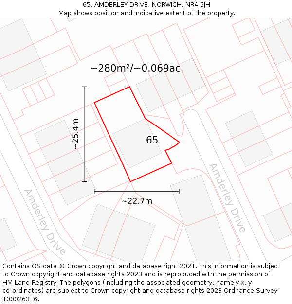 65, AMDERLEY DRIVE, NORWICH, NR4 6JH: Plot and title map
